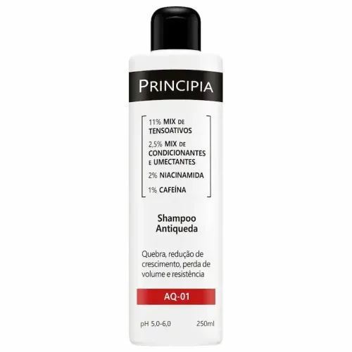 Shampoo Principia Antiqueda AQ 01 - 250ml